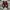 Dr. Martens Vintage Boots Pria red photo 1