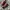 Dr. Martens Vintage Boots Pria red photo 2