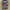 Dickies Grunge Casual Formal shirt Pria red gray photo 1