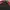 Nike Vintage Sportswear Jersey Pria red black photo 3