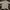 Crocodile Vintage Polo shirt Pria white black gray cream photo 1