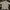 Crocodile Vintage Polo Shirt Pria White Black Gray Cream