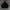 Luxury Casual pants Pria black photo 5