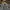 Vintage Y2K Formal shirt Pria white photo 3