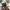 Vintage Y2K Formal shirt Pria white photo 5
