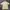 Nike Casual Polo Shirt Pria Cream