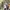 Spao Casual Sweater Pria multicolor photo 5