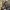 Burberry Vintage Luxury Shoulder bag Wanita tan brown photo 3
