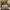 Burberry Vintage Luxury Shoulder bag Wanita tan brown photo 5