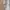 Liz Lisa Lolita Coquette Vest Wanita tan photo 4