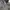 The North Face Streetwear Sportswear Other Pria brown gray photo 6