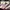 Sanrio Cosplay Coquette Glove Wanita Pink Cream