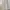 Casual Muslim Baju muslim Wanita white photo 2