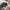 New Era Vintage Streetwear Hat Pria white black photo 5