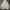 Streetwear Hoody Pria gray photo 1