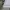 Giordano Minimalist Polo shirt Pria white photo 5