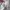 Jeep Casual Sweater Pria white photo 4