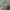 Miu Miu Luxury Avant Garde Skirt Wanita gray photo 8