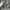 Miu Miu Luxury Avant Garde Skirt Wanita gray photo 6