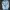 Streetwear Casual Windbreaker Pria white blue photo 5