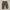 Streetwear Avant Garde Pria khaki photo 1