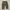 Streetwear Avant Garde Pria Khaki
