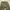 Streetwear Avant Garde Pria khaki photo 3