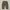 Streetwear Avant Garde Pria khaki photo 2