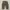 Streetwear Avant Garde Pria Khaki