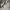 Nike Casual Sneakers Pria silver white photo 4