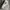 Nike Casual Sneakers Pria silver white photo 3