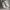 Nike Casual Sneakers Pria silver white photo 1