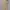 Minimalist Crossbody Bag Wanita cream yellow photo 4