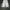 Dickies Vintage Y2K Formal pants Pria white photo 1