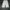 Dickies Vintage Y2K Formal Pants Pria White