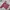Casual T-shirt Pria burgundy photo 5