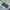 Sportswear Jersey Pria green photo 2