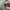 Converse Streetwear Luxury Sneakers Pria white photo 2