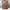 Samsonite Luxury Casual Bag Pria brown photo 1
