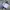Casual Track jacket Pria white photo 2