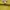 Mango Casual Shirt Wanita yellow photo 2