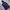 Nike Gorpcore Sportswear Track Jacket Pria Purple