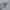 Minimalist Puffer jacket Pria gray photo 1