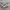 Adidas Indie Casual Sneakers Wanita purple white photo 1