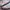 Adidas Biker Indie Sneakers Wanita white pink photo 2