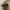 Columbia Casual Hat Pria brown photo 7