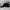 MSGM Luxury Casual Hat Pria Black