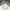 Uniqlo Vintage Streetwear Fleece Pria white photo 2