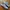 Adidas Casual Sneakers Pria orange blue photo 1