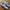 Adidas Casual Sneakers Pria Orange Blue